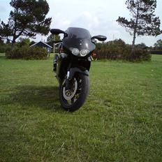 Aprilia rs 250