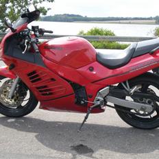 Suzuki RF600R