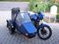 Jawa Blue Style "SOLGT"