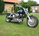 Harley Davidson shovelhead