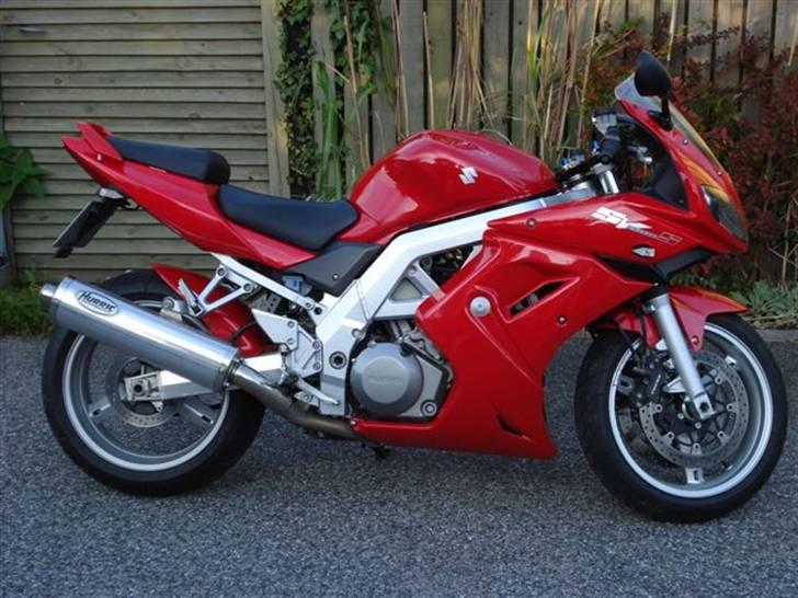 Suzuki SV1000S billede 6