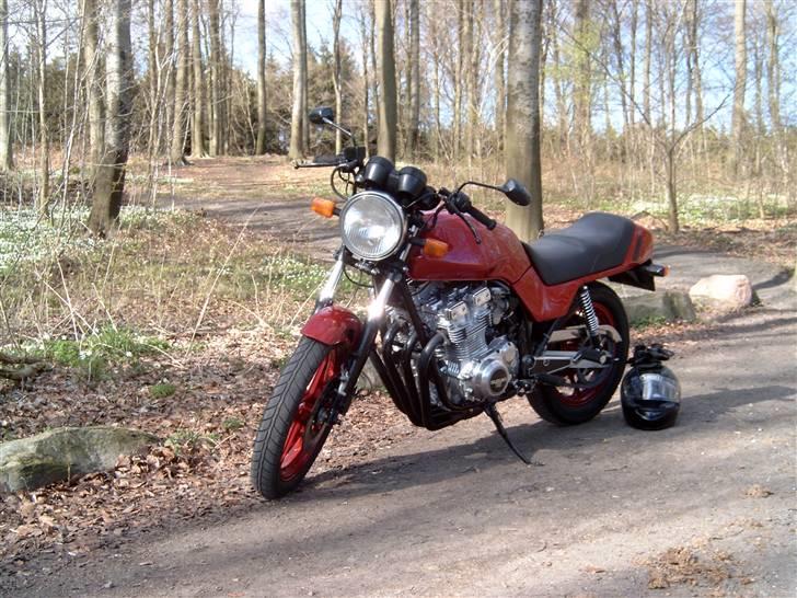 Suzuki Gixxer bandit - Den Gamle billede 3