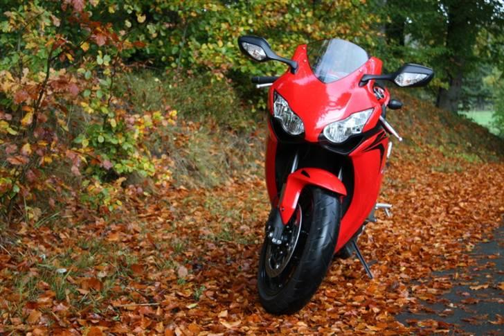 Honda CBR 1000 RR Fireblade billede 4