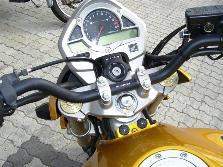 Honda Hornet billede 1