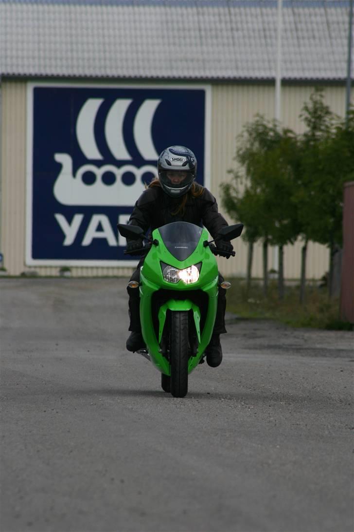 Kawasaki Ninja 250R billede 18