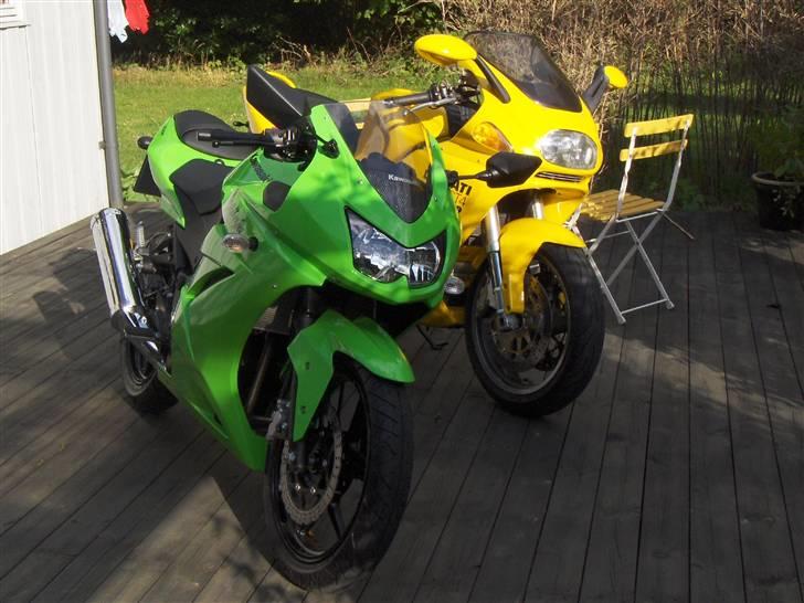 Kawasaki Ninja 250R - De to første billeder der blev taget af den, sammen med min fars Ducati ST4 billede 19
