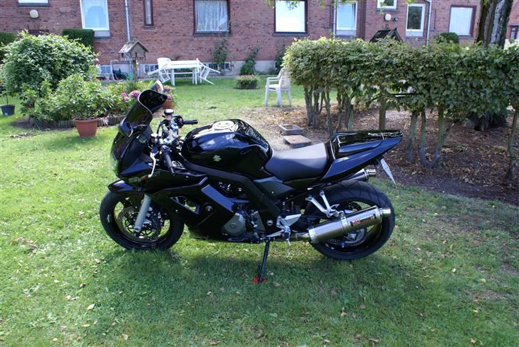 Suzuki SV 1000 S (Solgt) billede 5