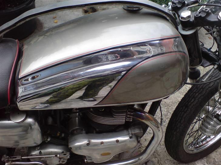 Norton Dommi ES2 AKA Stumping Sarah billede 1