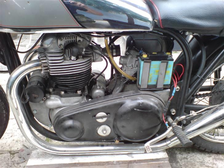 Norton Dommi ES2 AKA Stumping Sarah billede 4