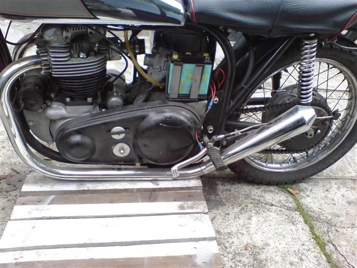 Norton Dommi ES2 AKA Stumping Sarah billede 5