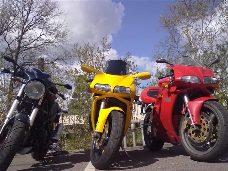 Ducati M 695 Dark (2006) - På tur med gode venner! billede 17