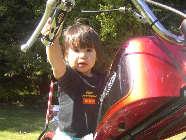 Triumph Speed tvin - MOTIVATION....... billede 13