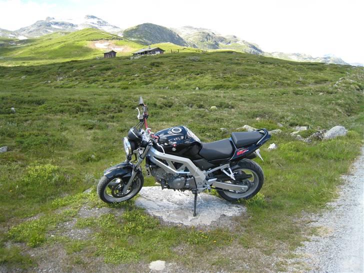 Suzuki SV650N @Til salg@ billede 5