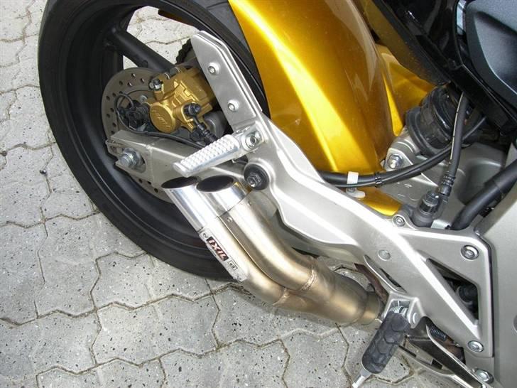 Honda Hornet billede 6