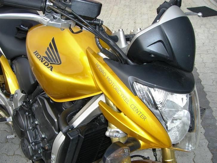Honda Hornet billede 11