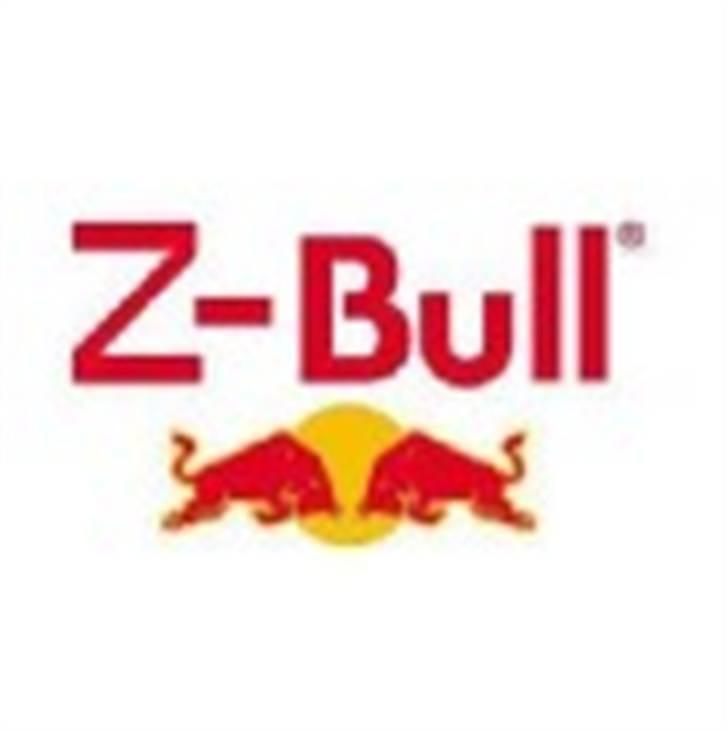 Kawasaki Z750 ABS ( Z-Bull ) ¤¤SOLGT...eller nærmere forære billede 13