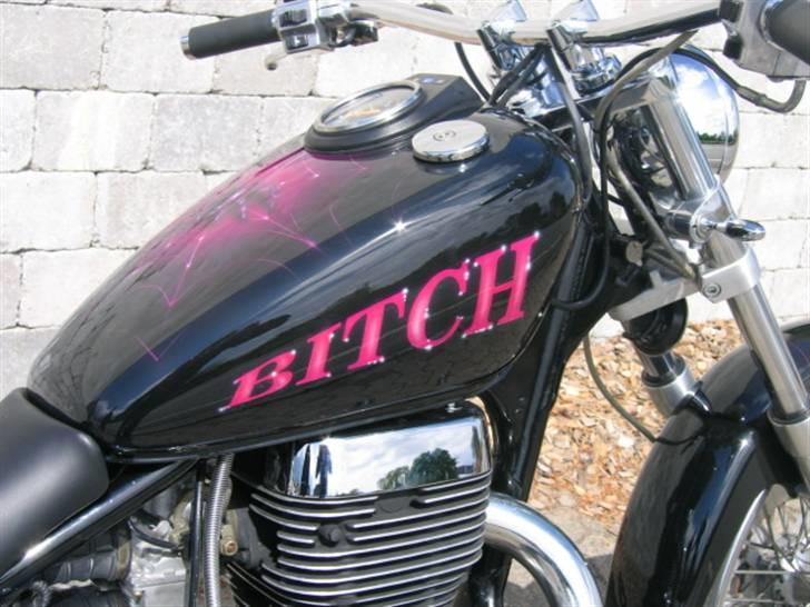 Suzuki LS 650 Savage - "BITCH"  Det er lige mig..  He He.. billede 1