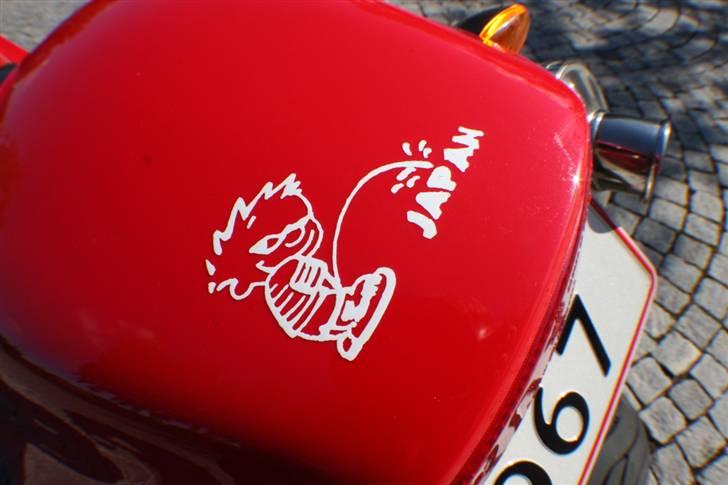 Ducati Monster 900 (916) billede 5