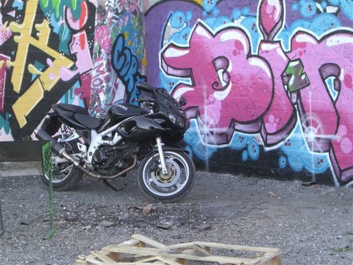 Suzuki sv650s - fandt et fedt sted til nye billeder billede 1