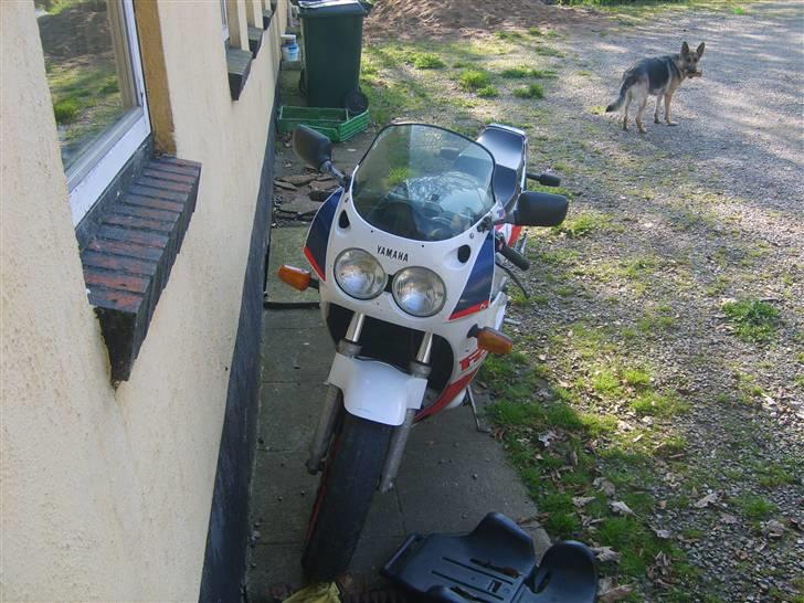 Yamaha FZR 750R Genesis - sådan så den da jeg fik den billede 1