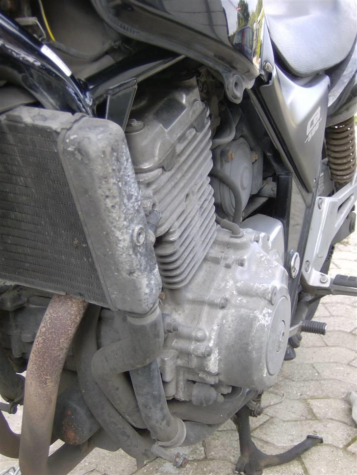 Honda CB 500 - kørsel året rundt sætter sine spor billede 4