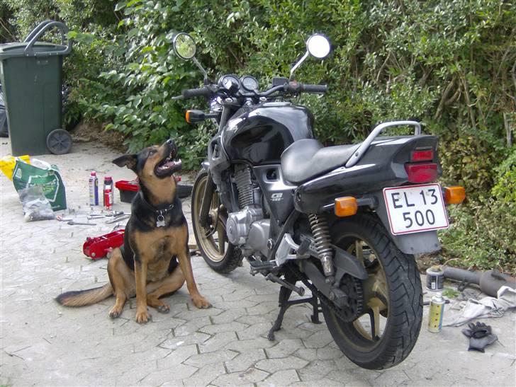 Honda CB 500 - vigepligt ved dette gadekryds... billede 8