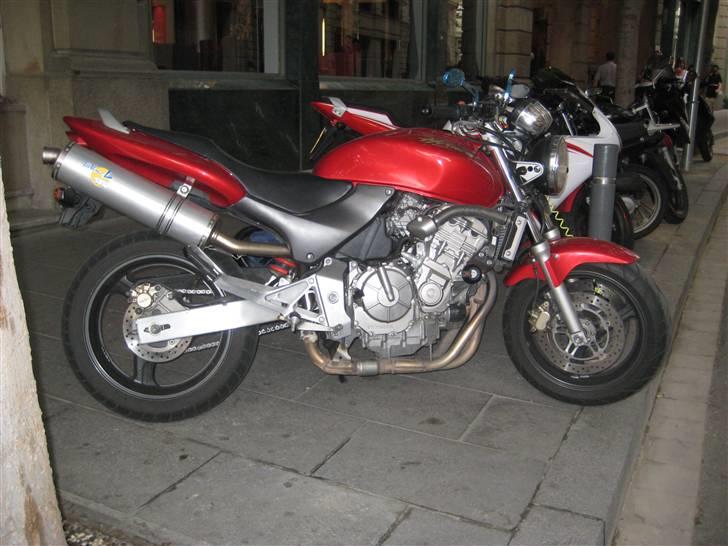 Honda CB 600 F Hornet billede 1