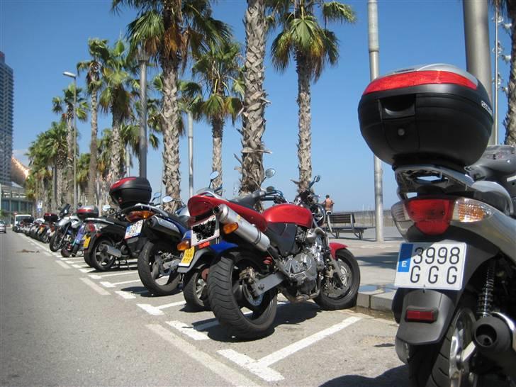 Honda CB 600 F Hornet - Taget ved stranden i Barcelona :-) Det er langt, men så har jeg prøvet det... billede 3