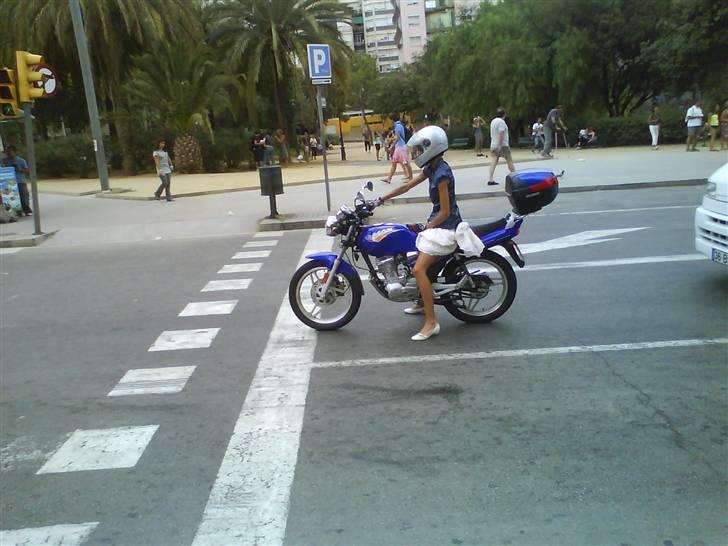 Honda CB 600 F Hornet billede 4