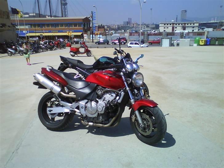 Honda CB 600 F Hornet billede 5