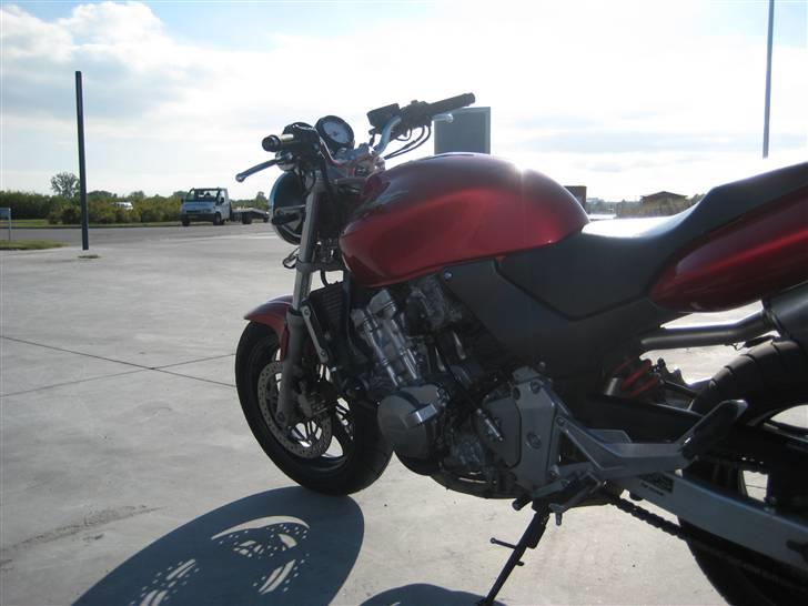 Honda CB 600 F Hornet billede 8