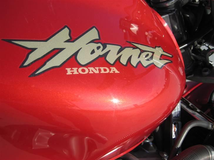 Honda CB 600 F Hornet billede 10