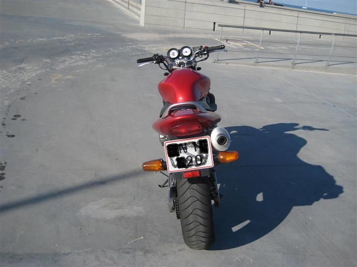 Honda CB 600 F Hornet billede 13