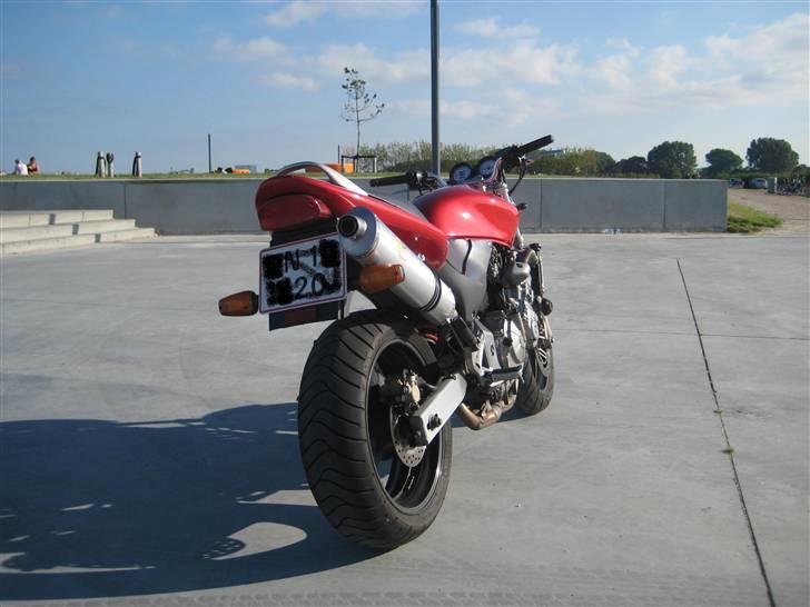 Honda CB 600 F Hornet billede 14