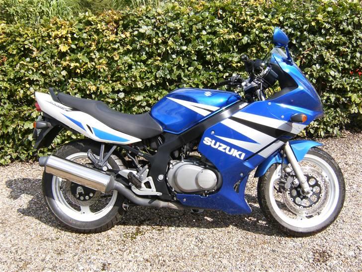 Suzuki GS 500 F: Total smadret billede 1