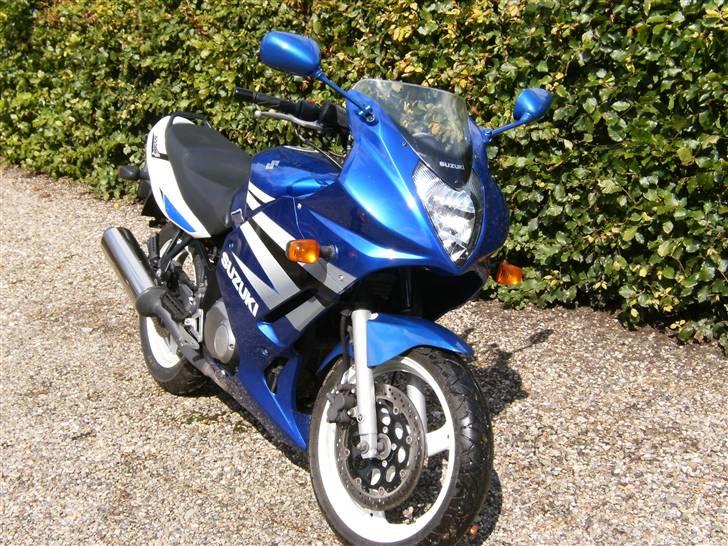 Suzuki GS 500 F: Total smadret billede 2