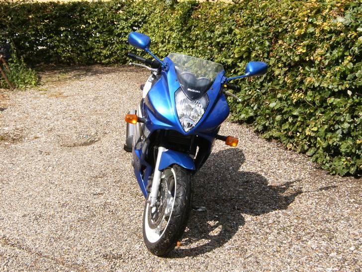 Suzuki GS 500 F: Total smadret billede 6