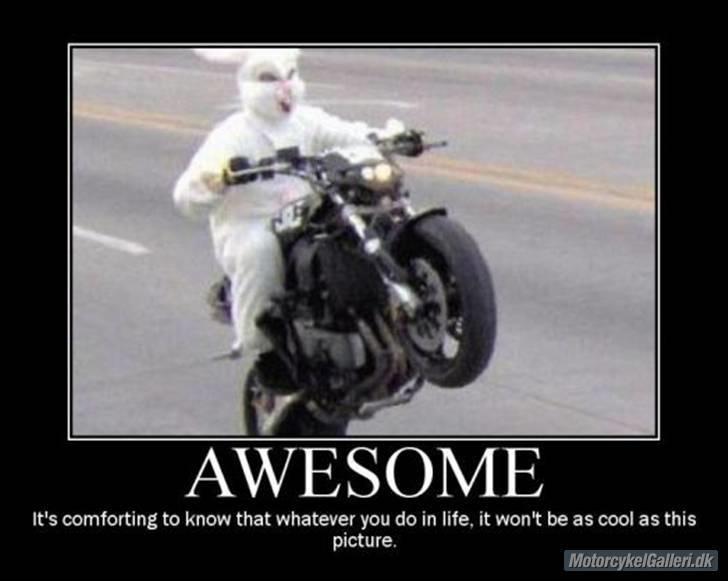 Kawasaki Z750 ABS ( Z-Bull ) ¤¤SOLGT...eller nærmere forære - Heine the stunting Bunny. billede 14