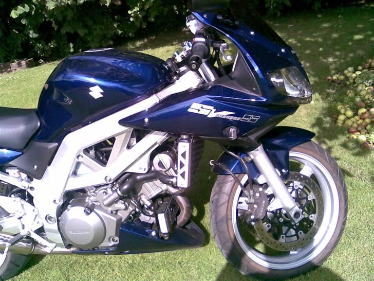 Suzuki SV 1000 S billede 3