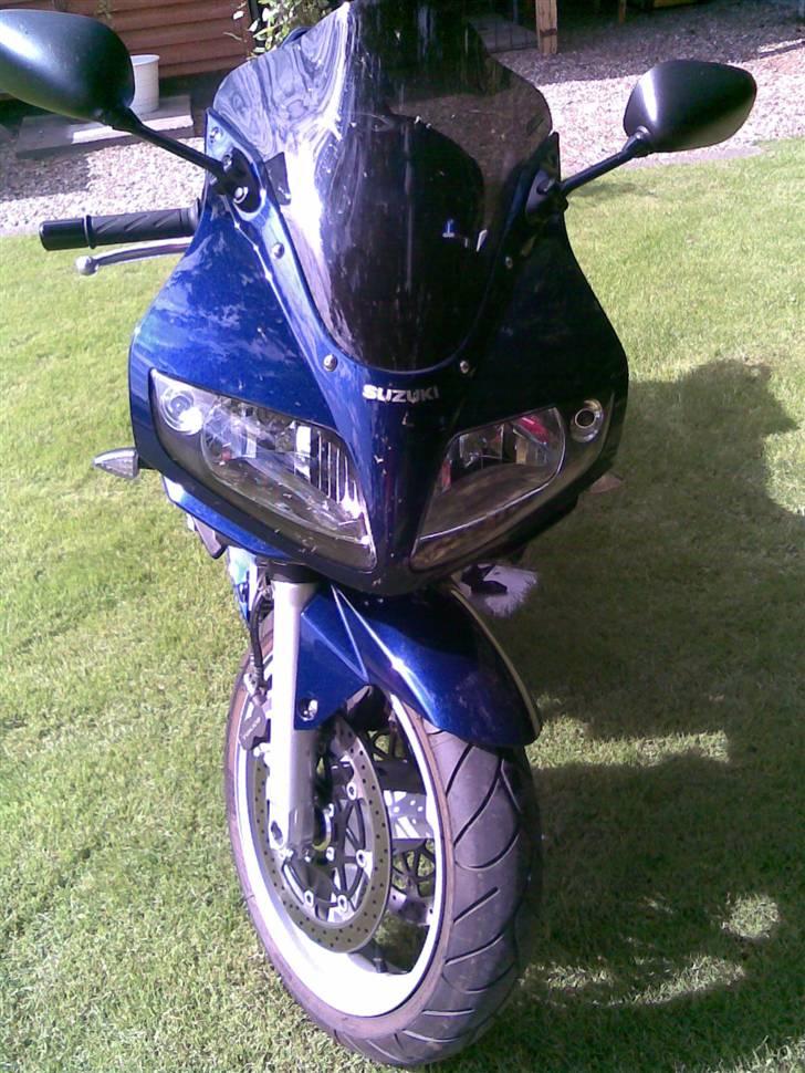 Suzuki SV 1000 S billede 4