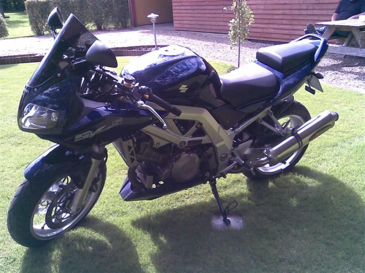 Suzuki SV 1000 S billede 7