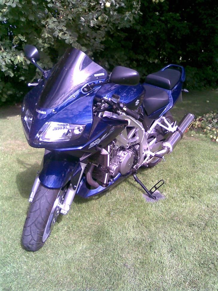 Suzuki SV 1000 S billede 9