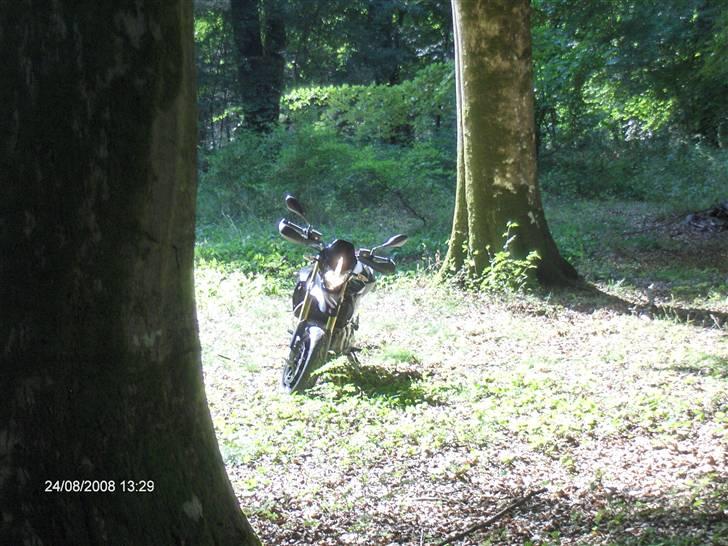 Aprilia Dorsoduro billede 2