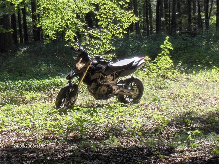 Aprilia Dorsoduro billede 3