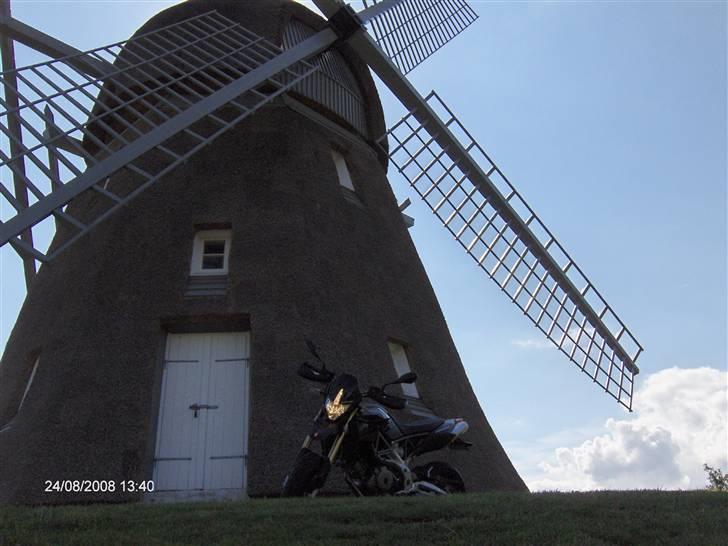 Aprilia Dorsoduro billede 7