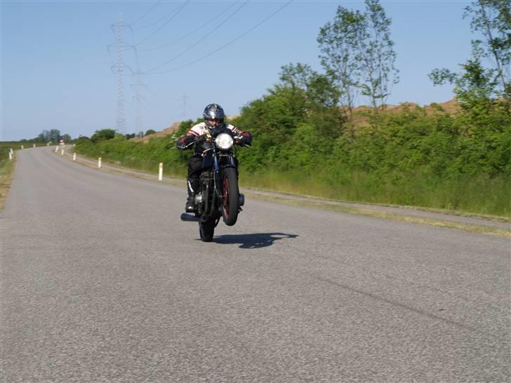 Kawasaki Z1000 (DØD) - Min Gamle Z1000J  Fra 83 savner den til tider... gammel Kawa Love billede 12