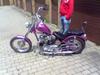 Triumph t100 PAINKILLER