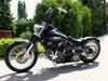 Harley Davidson hard ass