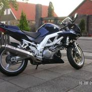 Suzuki SV 1000 S
