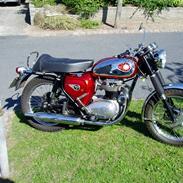 BSA A65thunderbolt SOLGT